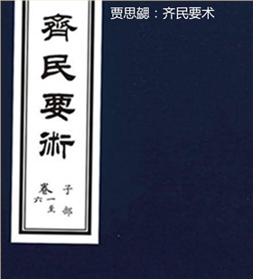 芝麻的来源，芝麻的来历，芝麻的传说