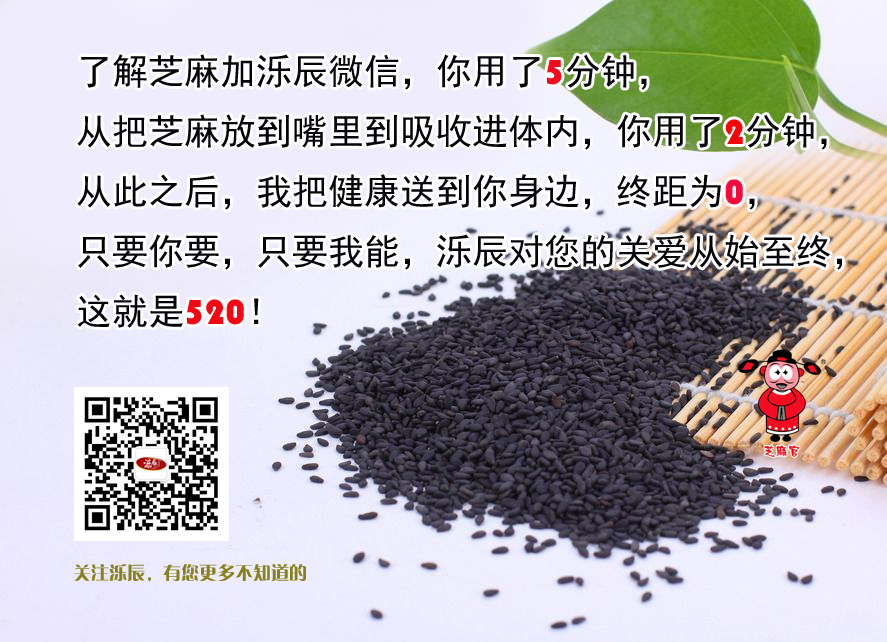 泺辰食品黑芝麻520